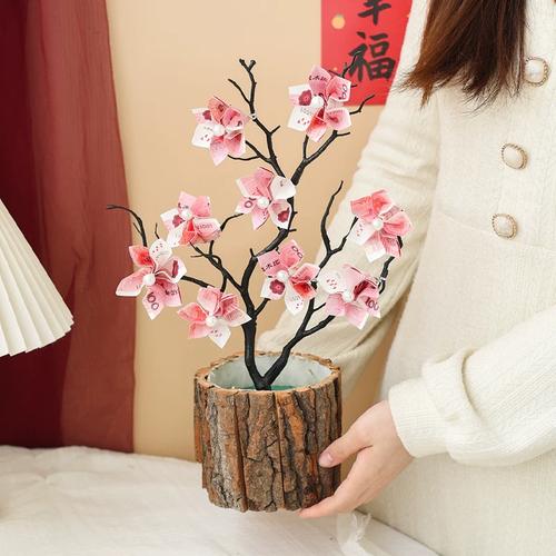 匠心織夢，財(cái)運(yùn)常青——《初晨物語》DIY創(chuàng)意發(fā)財(cái)樹花藝禮盒體驗(yàn)